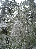 St Jacques 050.jpg St Jacques 050.jpg